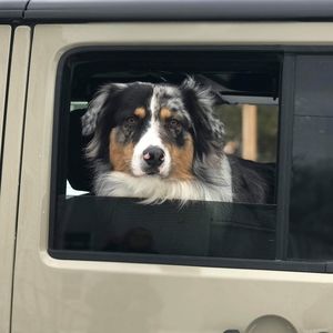 Meet your Posher, Kristine